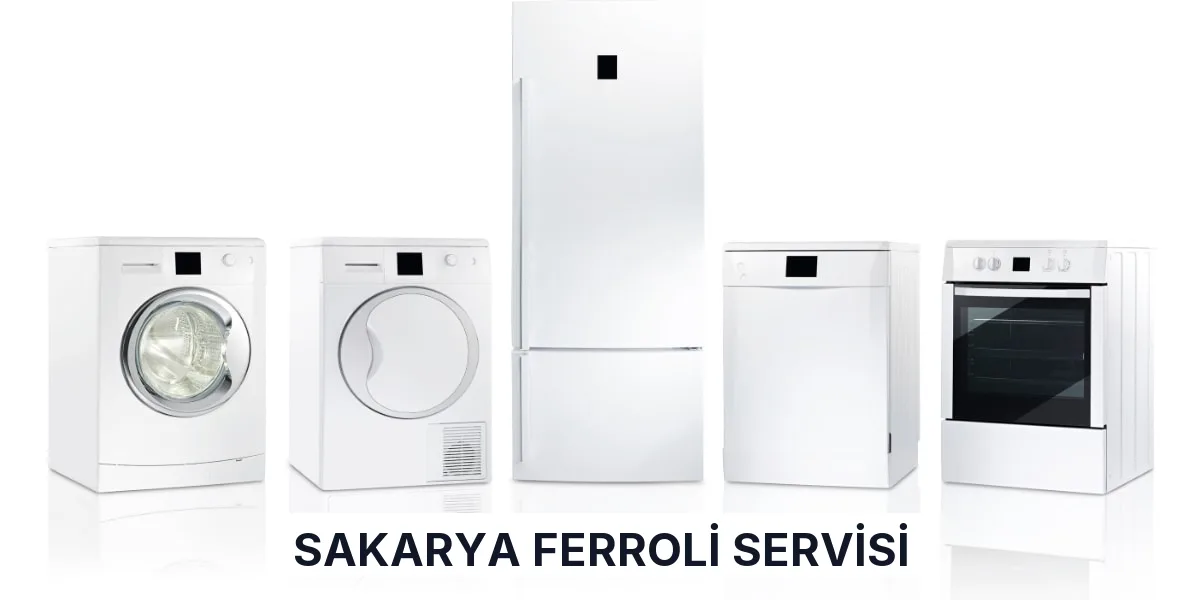 Sakarya Ferroli Servisi