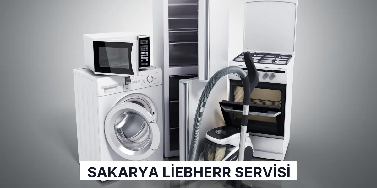 Sakarya Liebherr Servisi