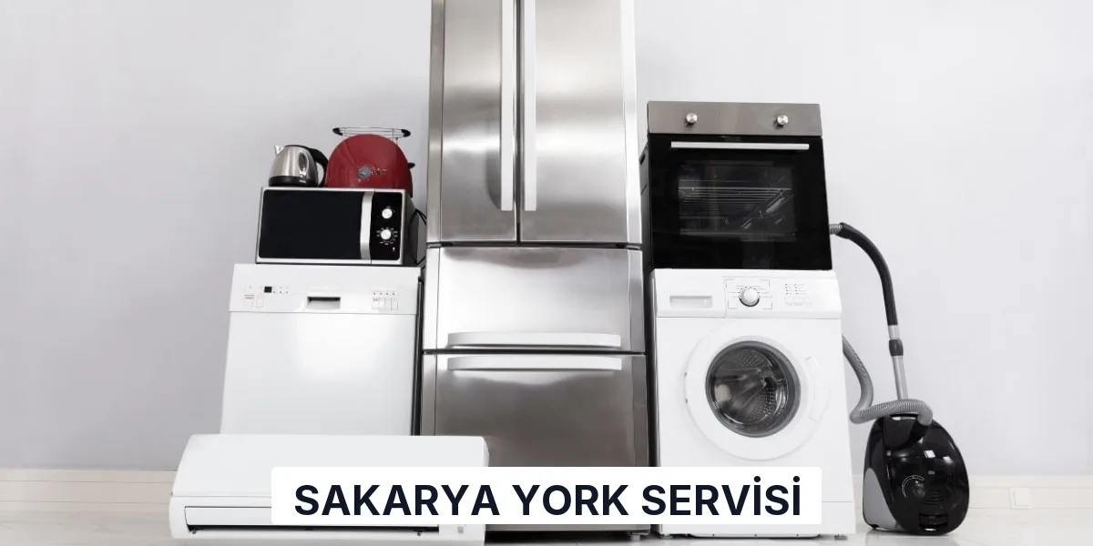Sakarya York Servisi